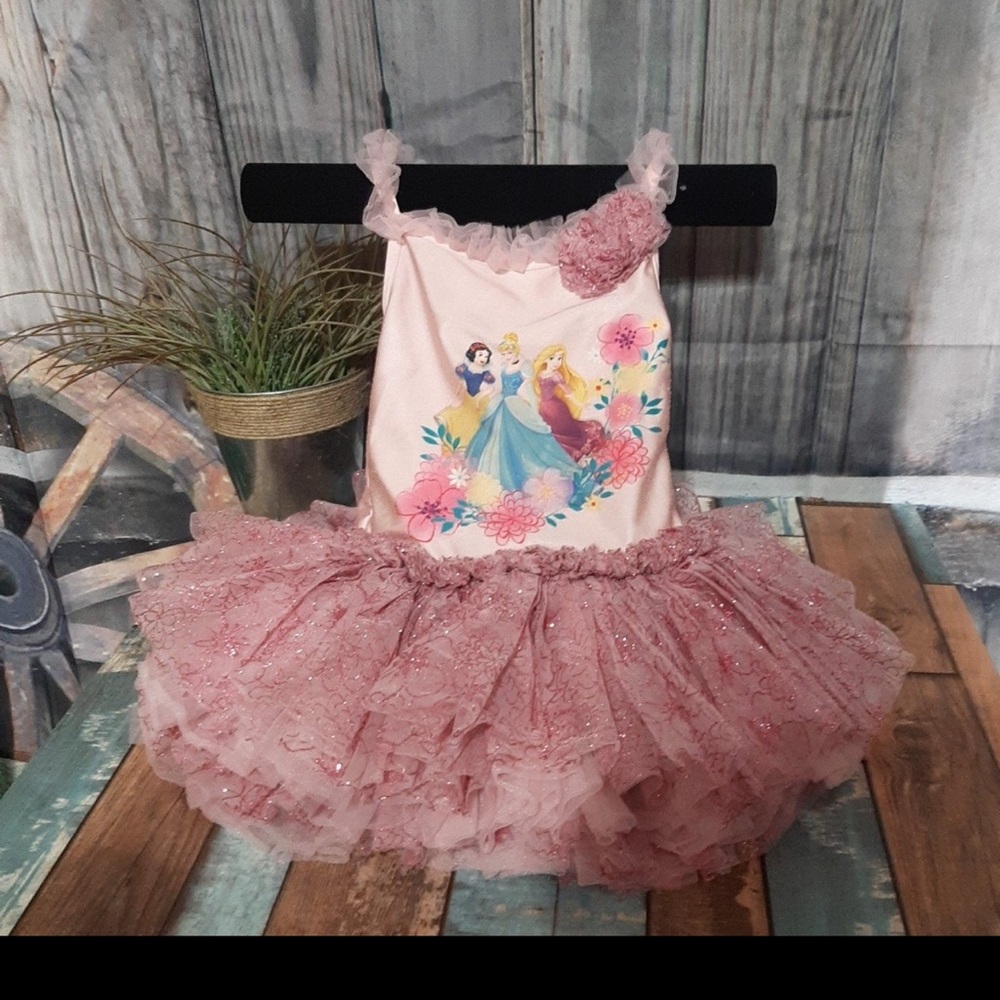 Disney Princess tutu leotard